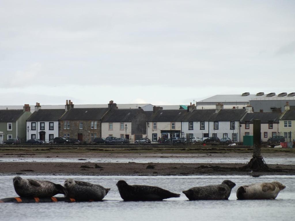 Maison d'hôtes St Andrews
